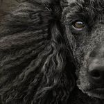 Don Mobley - @donmobley4 - Instagram