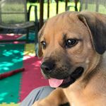don mobley - @mobley5507 - Instagram
