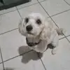 DON MONK3Y - @don.monk3y - TikTok