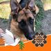 Don Monk - Facebook