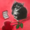 don_monk_y - @don_monk_y - TikTok