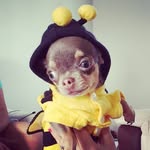 Don Monte - @donmonte_ - Instagram