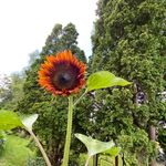 Don monteleone - @monteleonedon - Instagram