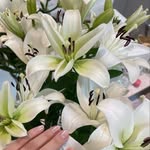 @doni_moreau - Instagram