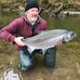 Don Morehouse - Facebook
