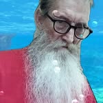 Don Morey - @donnimorey - Instagram