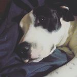 DON_MORGAN - @don_morgan_ - Instagram