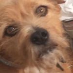 @moritzdonauer - Instagram