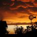 Don Morrill - Facebook