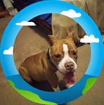 Don Mosher - Facebook