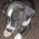 Don Mosteller - @guest4572g - Instagram