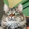Donna Lynn - @donnamosteller372 - TikTok