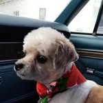 Don Mote - @don_mote_ - Instagram