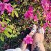 Mote Don - Facebook
