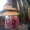Mote Don - @mote.don4 - TikTok