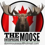 Donr Mousseau - @donrmousseau - Instagram
