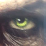 ARUTHUR DONMOYER - @donmoyer69 - Instagram