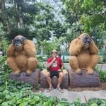 Don Moyer - @the_don_moyer - Instagram
