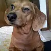 donnamucci - @donnamucci - TikTok