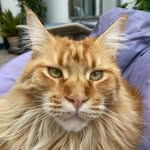 Rio Mucci - @riodonmucci - Instagram