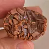 user8241556134450 - @donamucci - TikTok