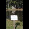 donaldfmullallyjr - @d24l73 - TikTok