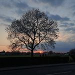 Don Mullan - @donmullan - Instagram