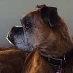 Don Munro - @munro1948 - Instagram