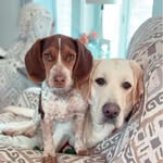 LaDonna Traywick Murphree - @ladonnat.murphree - Instagram