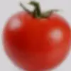 Albert - @donmustardo - TikTok