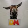 D.M - @donmeymustards - TikTok