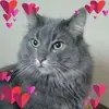 Donna Nadeau - @donnanadeau01 - TikTok
