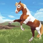 Anime and horse lover - @donna_gyllenram_horse_lover - Instagram