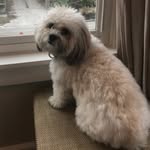 Mia donnally - @mia_donnally6 - Instagram