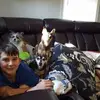 donnance949 - @donnance949 - TikTok