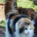 Don Hans Napier - Facebook