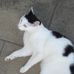 Don Napier - Facebook