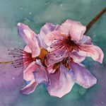 Donna Pierce Clark // Artist - @donnapierceclarkartist - Instagram
