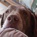 Don Nelson - Facebook