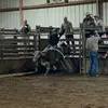 Don nelson - @don_nelson_22 - TikTok