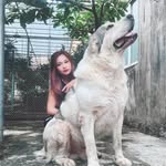 Trái Tim Hóa Đá - @hanhphuc.donnhan - Instagram
