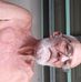 Don Nicol - Facebook