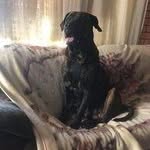 Don Norton - @don.norton.3154 - Instagram