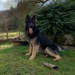 Norton - @don_norton_6.8 - Instagram