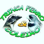 CRIATORIO DONO DO MATO - @donodomato - Instagram