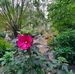 Don Orr - Facebook