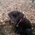 Don Orr Jr. - @orrjr.don - Instagram