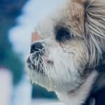 DON CHATO ORTIZ - @chatoortiz_ - Instagram