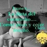 Doniz Pajarito - @donizpajarito - Instagram