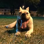 Don palomo - @palomo.glz - Instagram